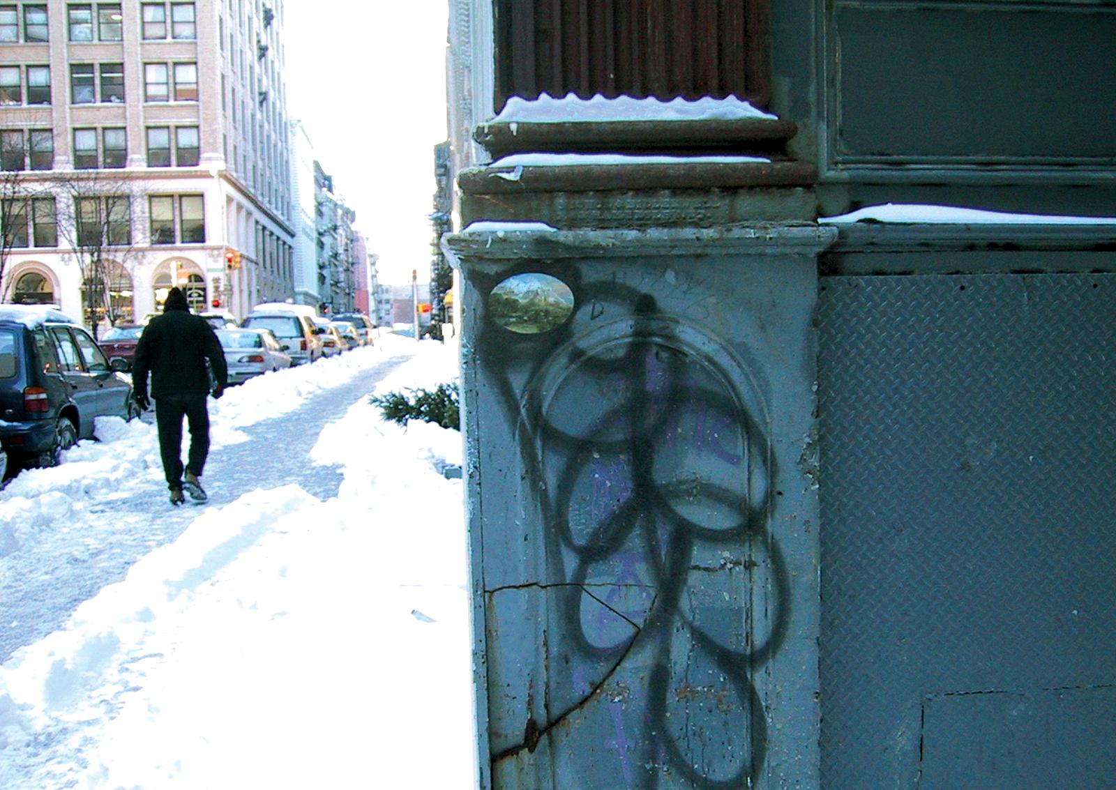 Ellen Harvey: New York Beautification Project