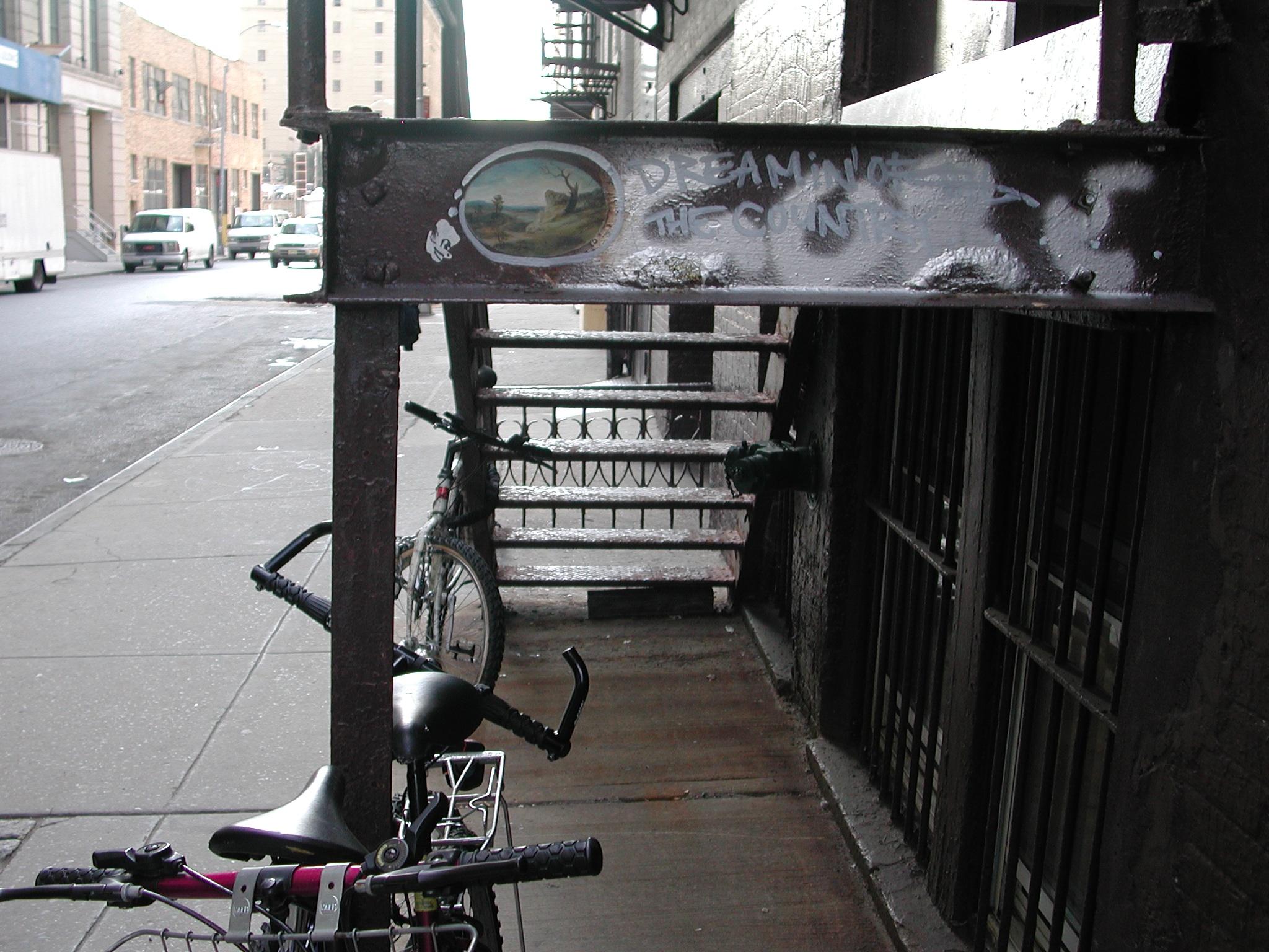 Ellen Harvey: New York Beautification Project