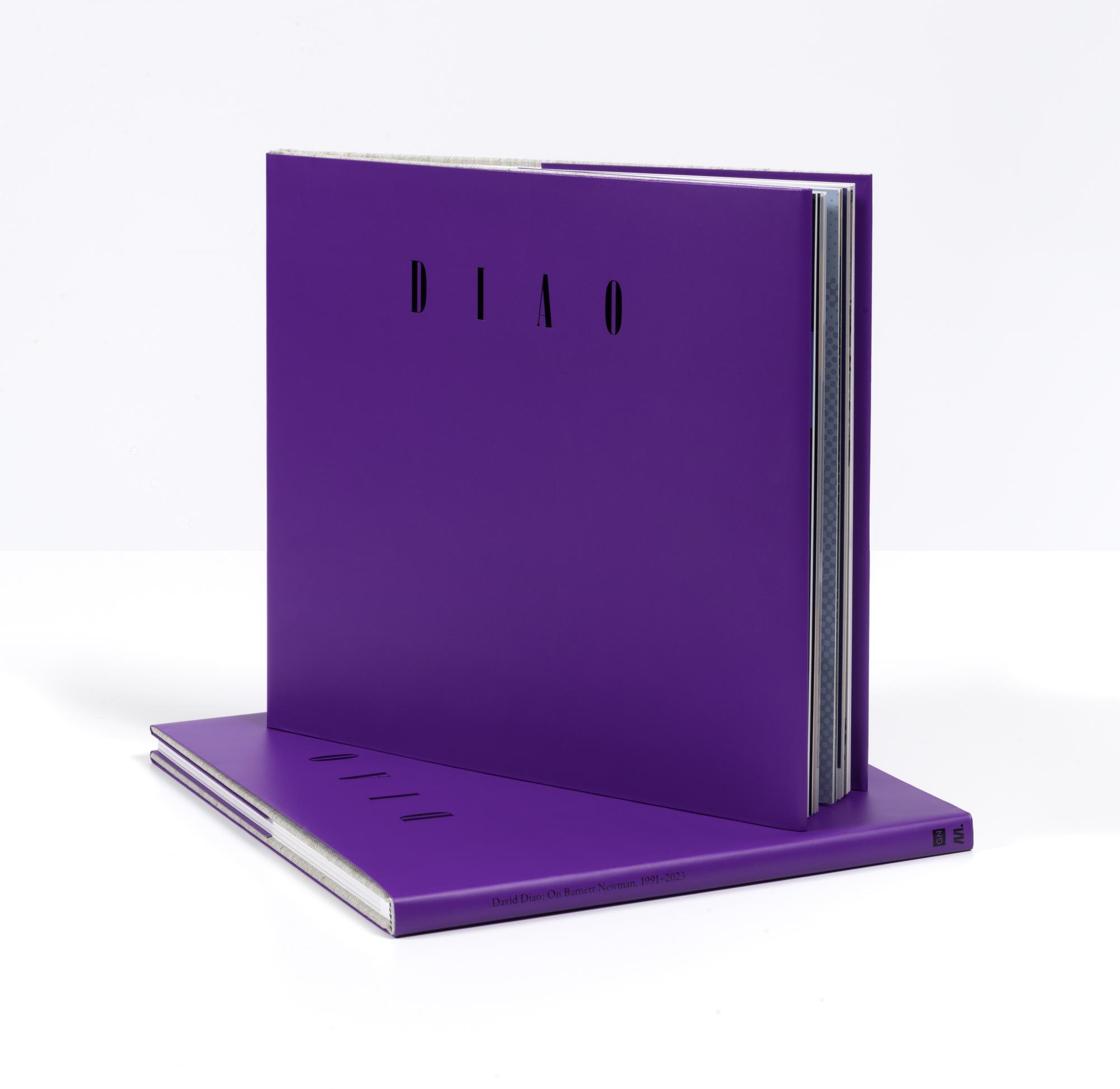 David Diao: On Barnett Newman, 1991–2023