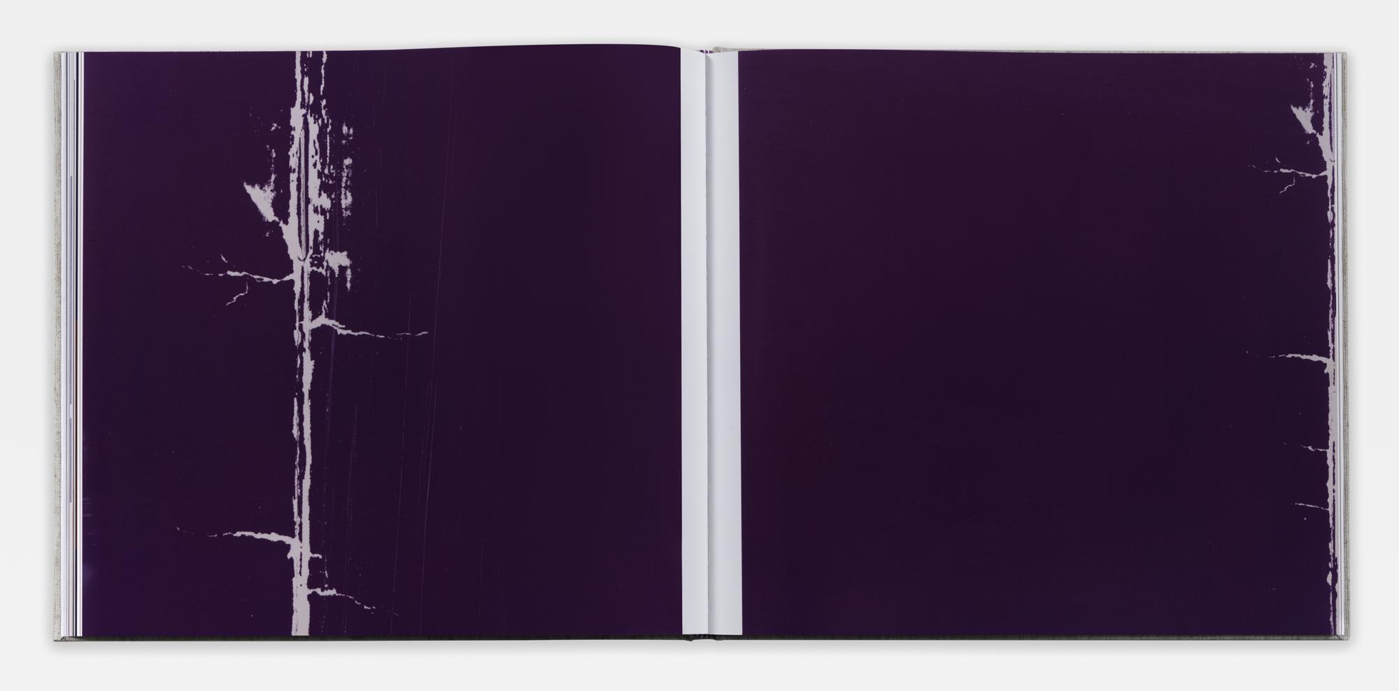 David Diao: On Barnett Newman, 1991–2023